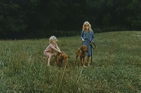 Picture of Where the Red Fern Grows (1974)