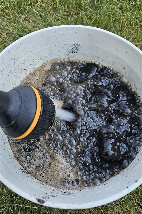 Image result for Using Compost When Planting Flowers