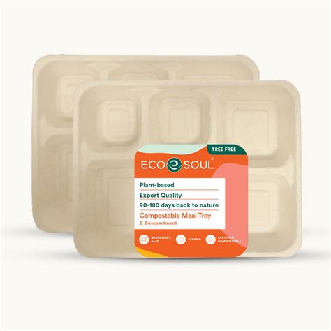 Siali Leaf Eco-Friendly Plates, 12 inch, 100% Biodegradable ...