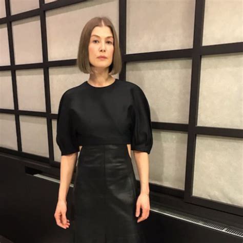 Rosamund Pike Net Worth / Biography 2023: Husband, Family, Height, The ...