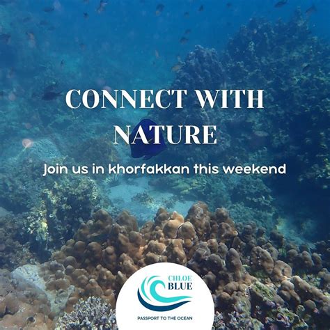 CHLOE BLUE DIVING CLUB (2025) All You Need to Know BEFORE You Go (with ...