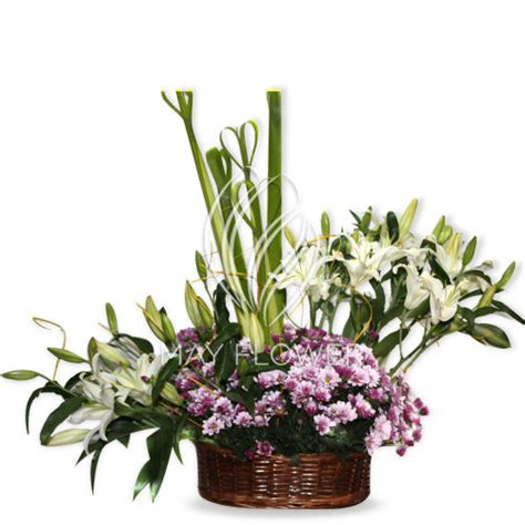 Exotic Large Basket Arrangement – May Flower