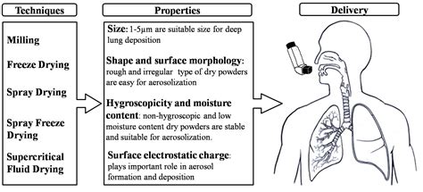 Dry Powder for Pulmonary Delivery: A Comprehensive Review