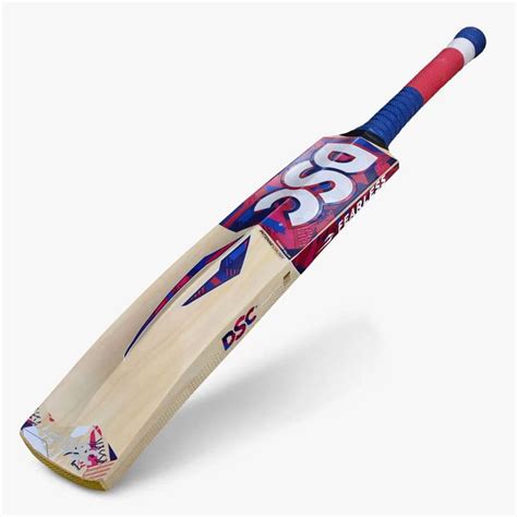 DSC Intense Crush Kashmir Willow Cricket Bat – Sportswing.in