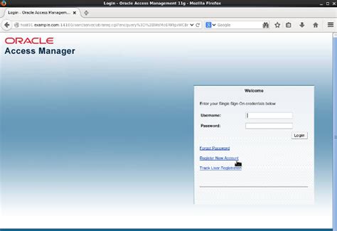 OAM Oracle 的图像结果