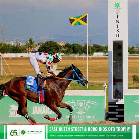 Caymanas Park Racing | Horse Racing Track (@caymanasracing) • Instagram ...
