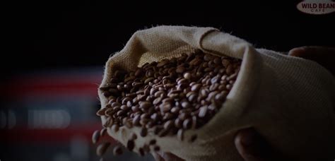 Fuel Station, Mobility Station, & Convenience Store - Jio-bp | Jio-bp