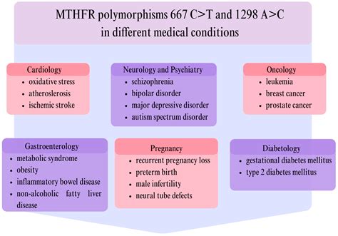 MTHFR Gene Polymorphisms: A Single Gene with Wide-Ranging Clinical ...