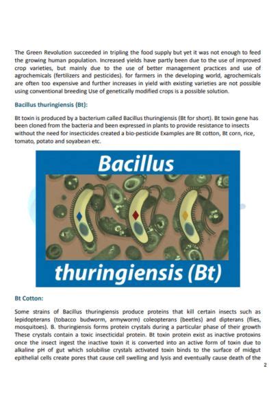 Biotechnology Class 12 Book 的图像结果