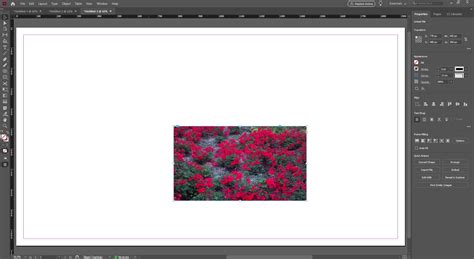 Image result for Frame Tool InDesign