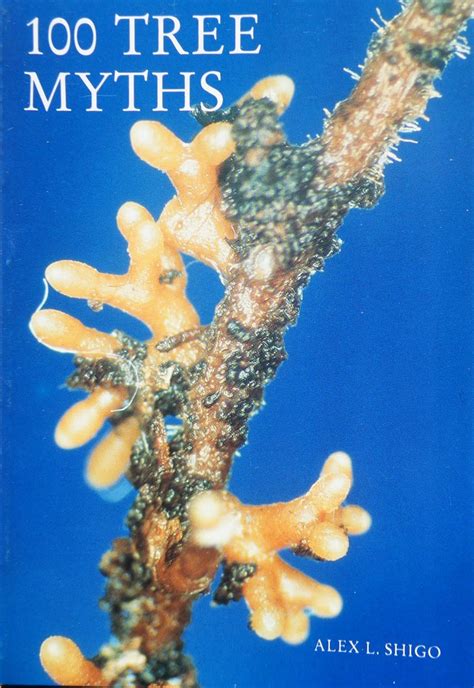 Buy One Hundred Tree Myths Book Online at Low Prices in India | One ...