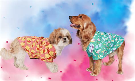 Dog-Friendly Holi: How to play Pet-safe Holi this year! – Pet Set Go