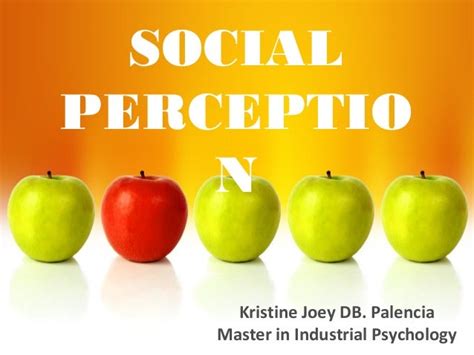 Social Perception Example 的图像结果
