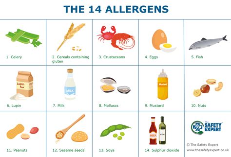 What You Need To Know About Food Allergens and How To Control Them ...