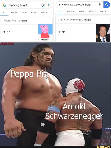 Pin on Funny Animals memes