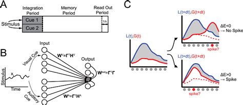 Image result for Spike Coding