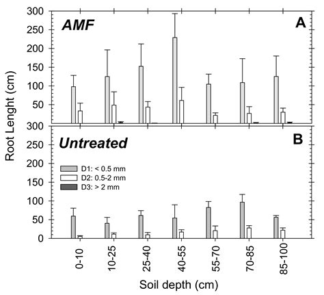 Arbuscular Mycorrhizal Fungus Stimulates Young Field-Grown Nectarine Trees