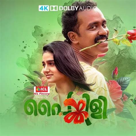 Painkili 2025 Full Movie Online - Watch HD Movies on Airtel Xstream Play