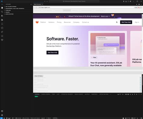 vs Code Web 的图像结果