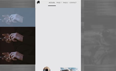 Image result for Carousel Version