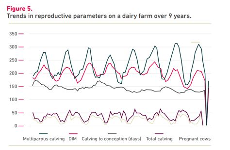 The 10 keys to understanding reproduction on a dariry farm