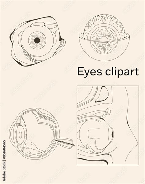 Image result for Optometry Drawing