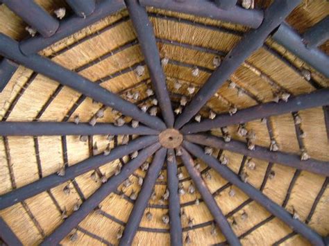 HLUHLUWE-IMFOLOZI LODGE (Hluhluwe Game Reserve) - Lodge Reviews, Photos ...