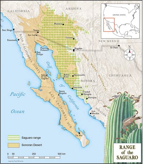 Sonoran Desert On World Map