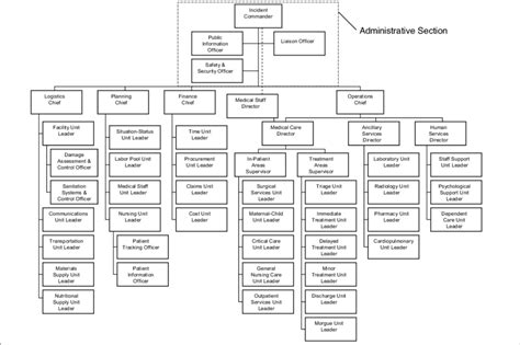 Image result for ICS Incident Command System Triage Chart