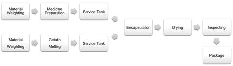 Image result for Softgel Encapsulation Assembly Process