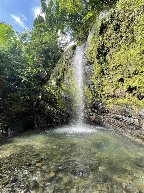 Damar Kaminski Funeral Home & Crematorium