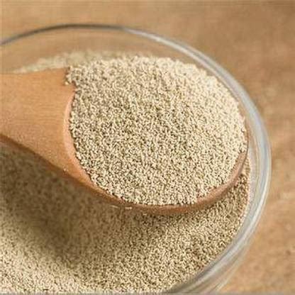 Muchmore Gourmet Dry yeast 1000 Gram Yeast Powder Price in India - Buy ...