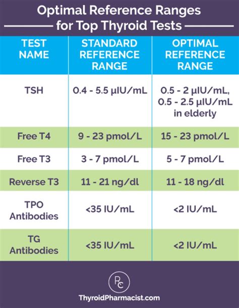Tsh Test Results Explained _ Thyroid Function Test: How to Interpret ...