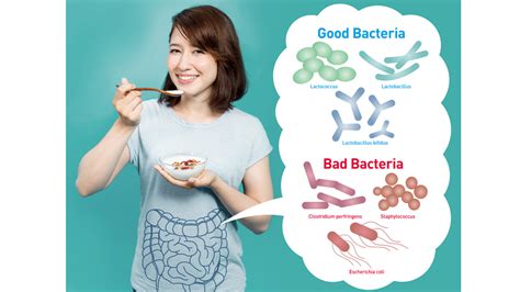 Gut feeling: The second brain in our body – Naturally Yours
