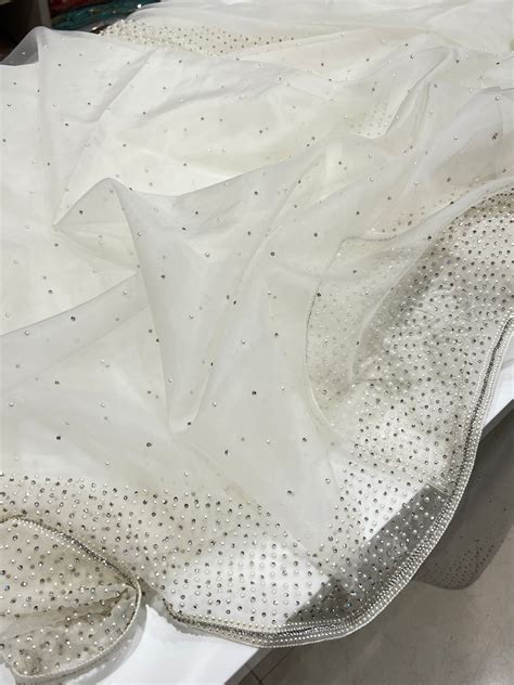 Organza White Hand Embroidery Moti and Stones Saree