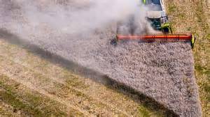 Exclusive: European Commission touts increase of biofuels to clean up ...
