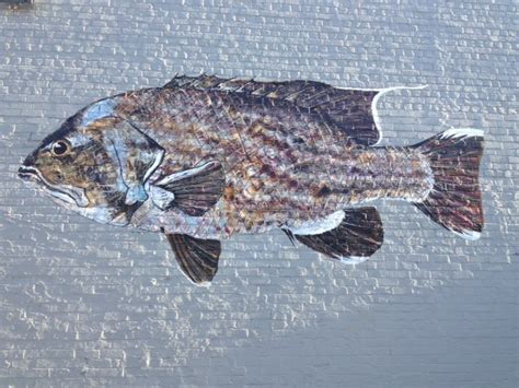 Convenience Store in Fremantle | Top Convenience Store