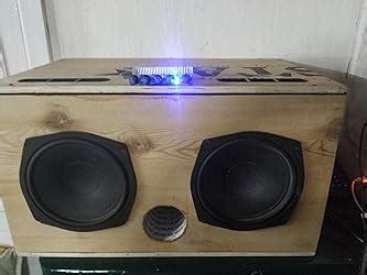 DHRUV-PRO DC12V-24V 2.1 Channel TPA3116 Subwoofer Amplifier Board High ...