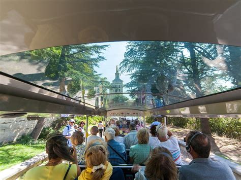 PETIT TRAIN AVIGNON (2025) All You Need to Know BEFORE You Go (with ...