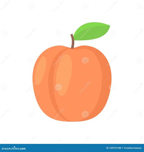 Peach with Leaf Vector Icon. Peach Icon Clipart Stock Vector ...