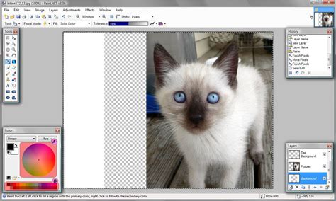 Image result for Paint.NET Center Image