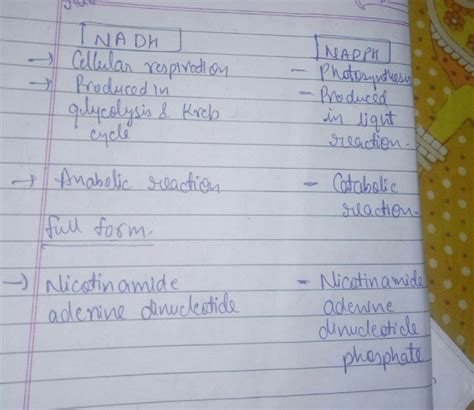 What is the difference between NADH and NADPH? - EduRev NEET Question
