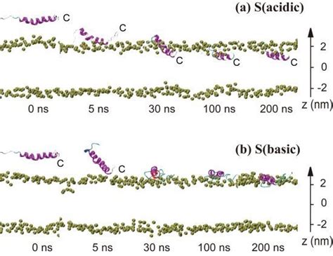 Membrane Binding and Insertion of a pHLIP Peptide Studied by All-Atom ...