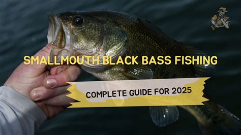 Smallmouth Black Bass Fishing: Complete Guide for 2025