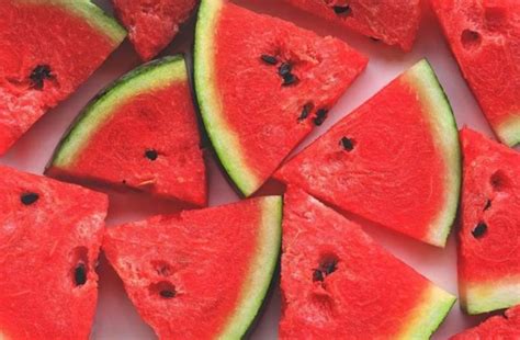 Can Dogs Eat Watermelon Plus Rind and Seeds?