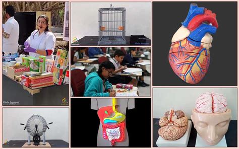 Basic Science and Technology Videos 的图像结果