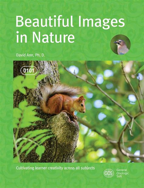 Beautiful Images in Nature eBook : Ann, David: Amazon.in: Kindle Store