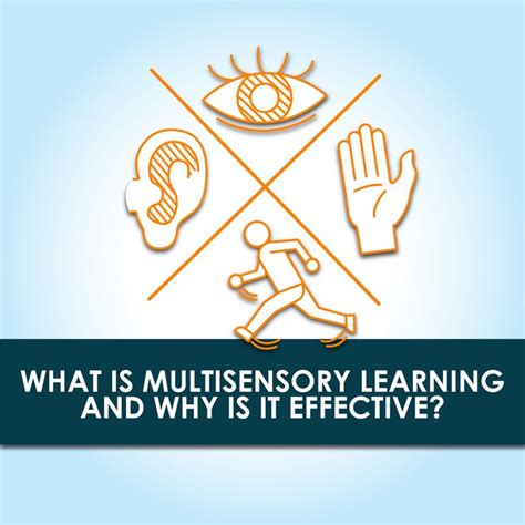 Image result for Why Multi-Sensory Learning Is Important