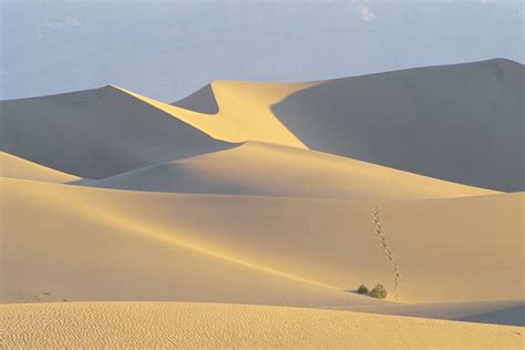 Sahara Desert Hd Wallpaper For Pc 4k Resolution - Infoupdate.org