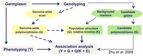 Image result for Association Mapping Applications